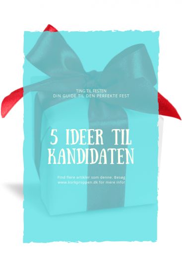 5 ideer til kandidaten